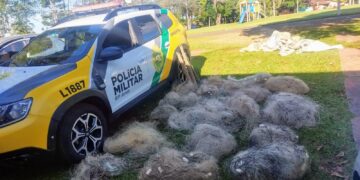 “Pescar Pode, Predar Não! Polícia Ambiental Dá o Bote em Ortigueira”