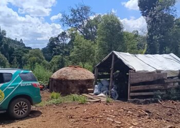 “Crime Ambiental em Pinhão: Polícia Militar Ambiental Atua com Precisão Contra Destruição de Vegetação Nativa”