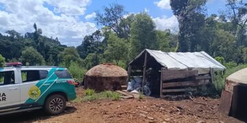 “Crime Ambiental em Pinhão: Polícia Militar Ambiental Atua com Precisão Contra Destruição de Vegetação Nativa”
