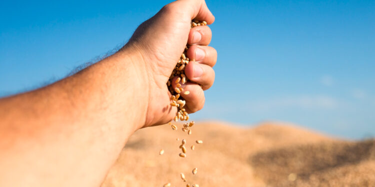 “O Agro Não Pode Esperar: MP de R$ 4,17 Bilhões Resgata o Plano Safra do Limbo Político”