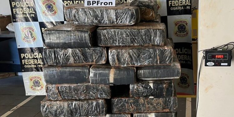 “Fronteira da Risada: Polícia Federal Pega em Flagrante um ‘Jardineiro’ de Maconha em Altônia”