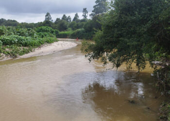 “A Grande Aventura do Rio Barigui: Bombeiros em Busca do Jovem Desaparecido”