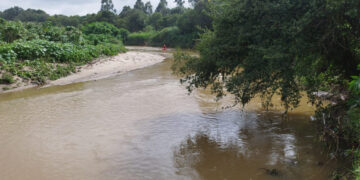 “A Grande Aventura do Rio Barigui: Bombeiros em Busca do Jovem Desaparecido”