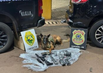 “A Caravana das Armas: Fuzis e Pistolas Desfilam em Cascavel”