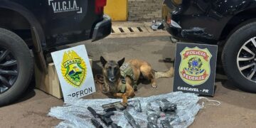 “A Caravana das Armas: Fuzis e Pistolas Desfilam em Cascavel”