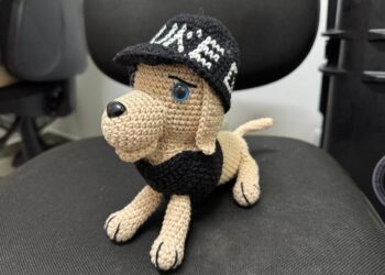 A Polícia Penal do Paraná Transforma Arte em Esperança Durante o Verão Maior Paraná