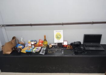 Guarapuava: O Ladrão Que Fez do Bairro Industrial Seu “Shopping” Pessoal Finalmente na Cadeia!