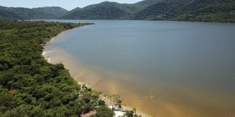Paraíso Azul em Perigo: Lagoa do Peri de Florianópolis Perde Selo de Qualidade após Anos de Excelência
