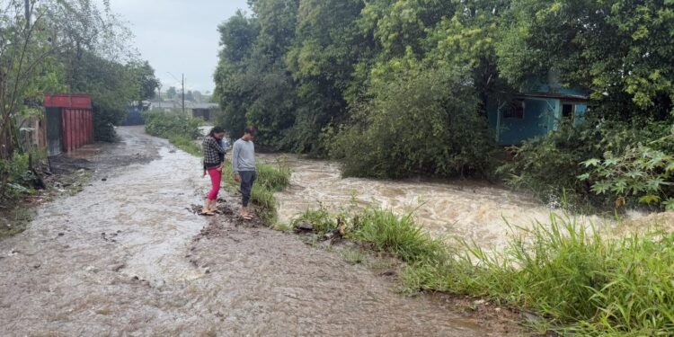 Guarapuava sob Água: Um Relato de Resiliência e Solidariedade Após as Chuvas Torrenciais