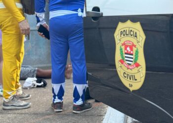 “O Trio dos Celulares Furtados: Ladrões Sem Ritmo no Carnaval de São Paulo”