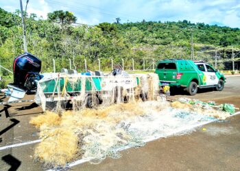 “Carnaval de Crimes: Pescadores e Caçadores Sentem o Peso da Lei”