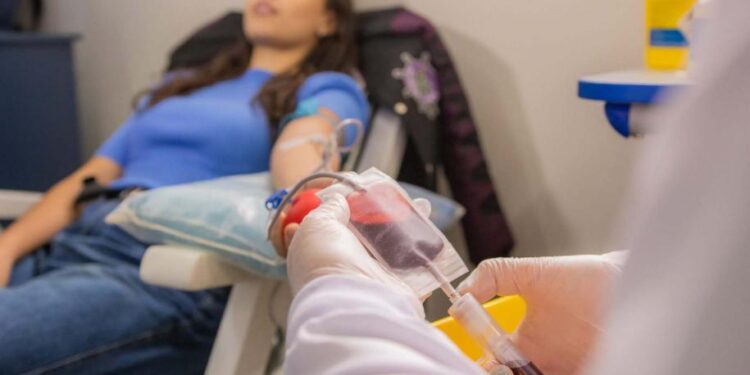 O Elo Invisível da Vida: Por Que Sua Doação de Sangue é o Investimento Mais Valioso do Ano