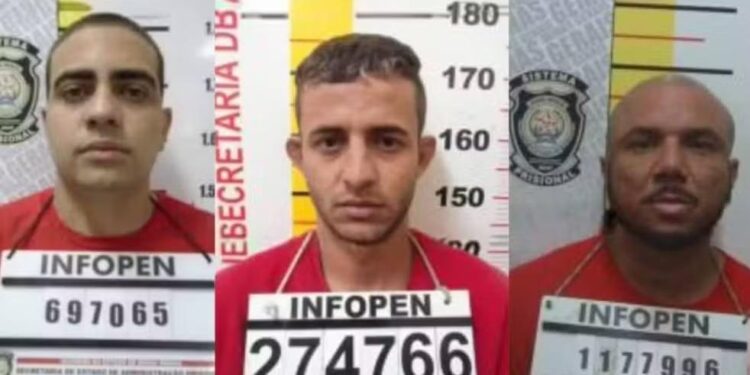 Justiça sob Ataque: A Fraude Tecnológica que Abriu as Portas do Ceresp Gameleira