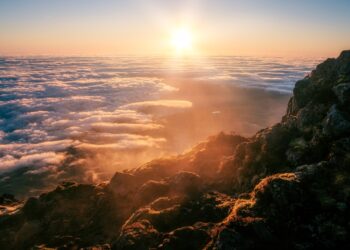 A Chave da Liberdade: Como o Perdão Transforma Vidas e Restaura a Paz Interior
