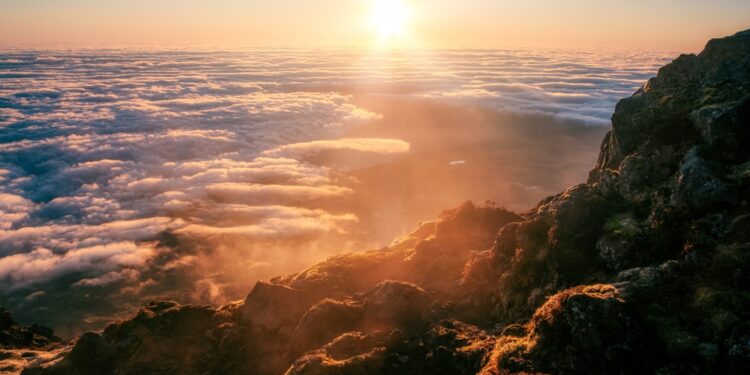 A Chave da Liberdade: Como o Perdão Transforma Vidas e Restaura a Paz Interior