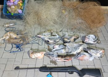 Carabina “Vitaminada”, Peixe na Sacola: Operação Verão Fecha a Conta no Rio Iguaçu