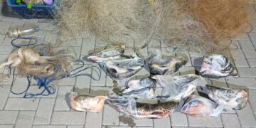 Carabina “Vitaminada”, Peixe na Sacola: Operação Verão Fecha a Conta no Rio Iguaçu