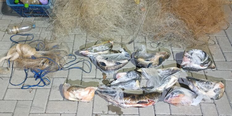 Carabina “Vitaminada”, Peixe na Sacola: Operação Verão Fecha a Conta no Rio Iguaçu