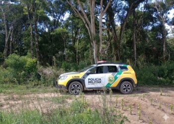 “O trator não mentiu: 0,96 hectare de Mata Atlântica virou lenha em Fernandes Pinheiro”