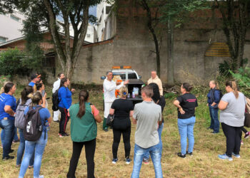 Paraná vira a página epidemiológica: 2026 começa com dengue sob vigilância e dados ainda em consolidação