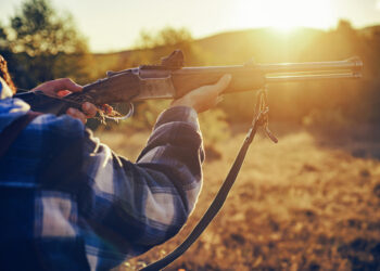 Vizinho Dispara Espingarda Antiga: Lagarto ou Desavenças em Rio Salto Grande, Pitanga!