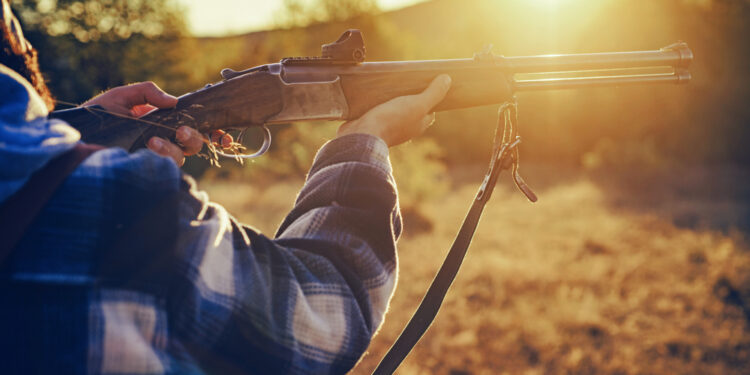 Vizinho Dispara Espingarda Antiga: Lagarto ou Desavenças em Rio Salto Grande, Pitanga!