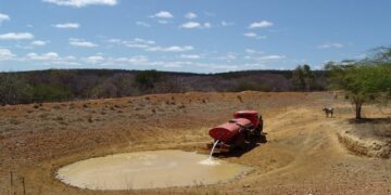 Semiárido na Mira: Plenário Decide se Água e Comida Viram Direito Básico no Nordeste