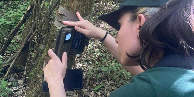Olhares invisíveis: tecnologia mapeia a vida secreta dos mamíferos no Centro-Sul, Acadêmicos Unicentro