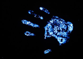 Luz no Invisível: Luminol amplia perícias da Polícia Científica do Paraná na busca por vestígios ocultos