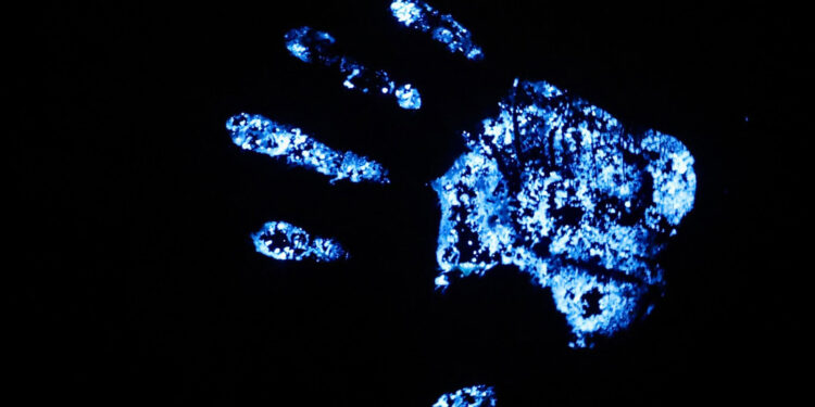 Luz no Invisível: Luminol amplia perícias da Polícia Científica do Paraná na busca por vestígios ocultos