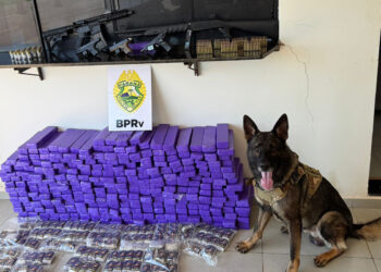 “Porta-malas do medo” na PRC-272: abordagem em Iporã retira 210 kg de drogas e um arsenal de circulação