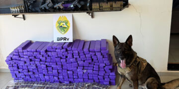 “Porta-malas do medo” na PRC-272: abordagem em Iporã retira 210 kg de drogas e um arsenal de circulação