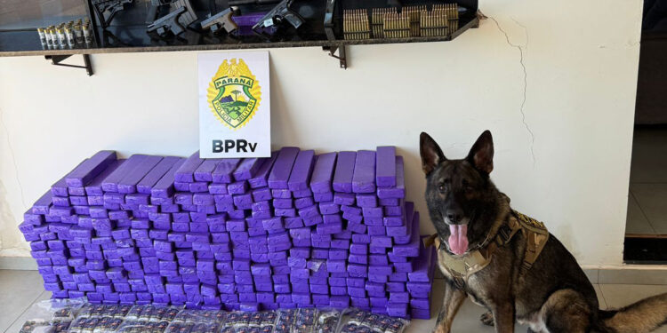 “Porta-malas do medo” na PRC-272: abordagem em Iporã retira 210 kg de drogas e um arsenal de circulação